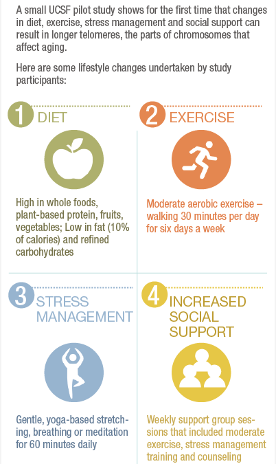 Lengthen Your Telemeres- Live Longer- Your (Bad) Heredity is not a death sentence: Lifestyle Changes May Lengthen Telomeres, A Measure of Cell Aging | UC San Francisco
